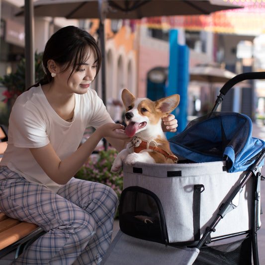 Tragbarer Hunde-Haustier-Kinderwagen im neuen Stil, faltbar mit 4 Rädern 
