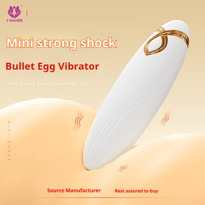 Mini Bullet Egg Vibrator for Women - Discreet Adult Toy